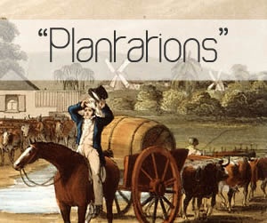 PlantationsA